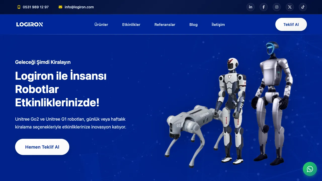 Logiron web sitesi ön izleme